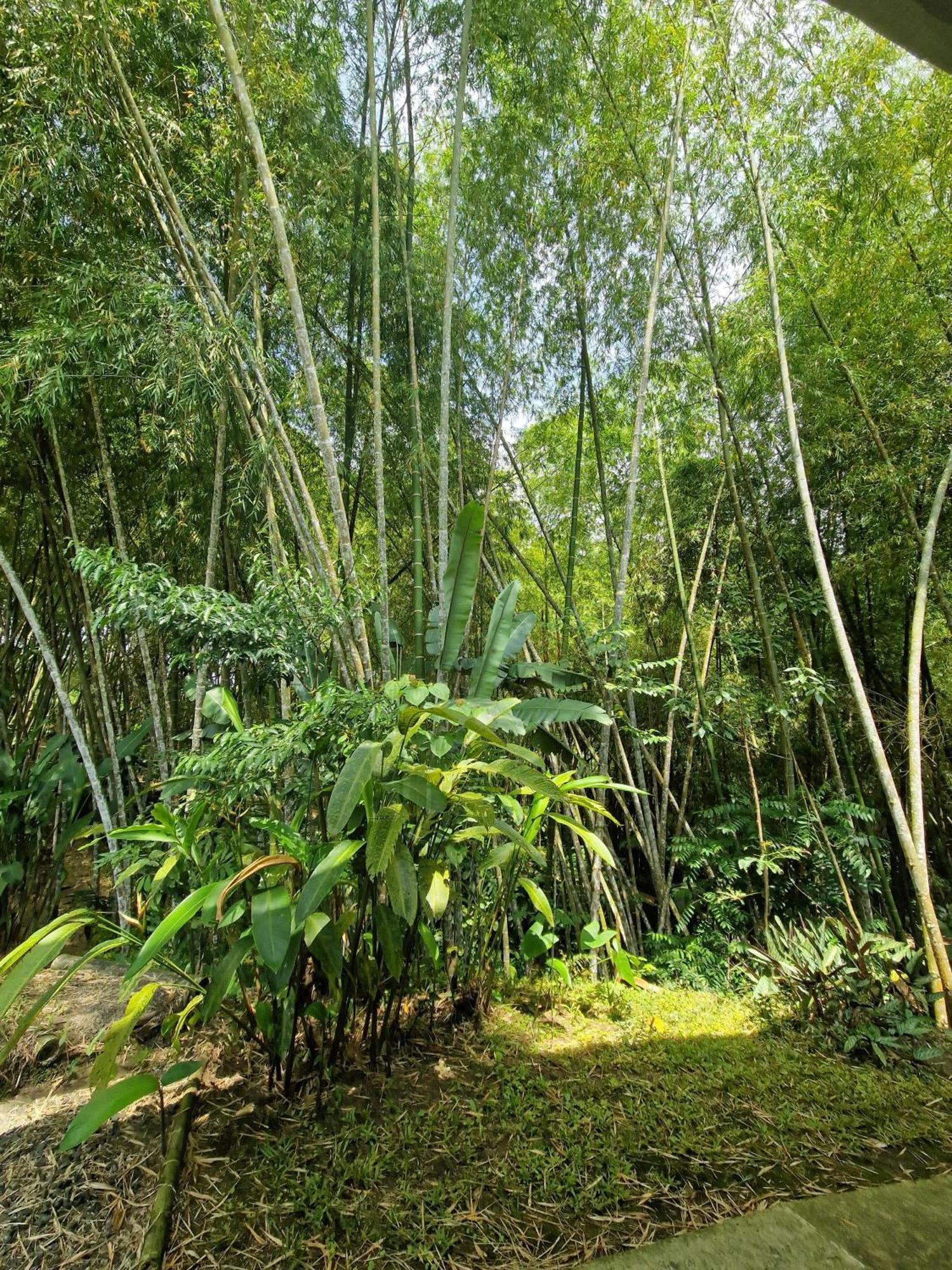 Bhutan Filandia Guest House Eksteriør bilde